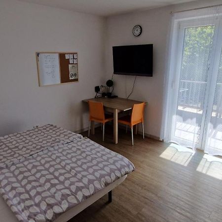 Daisy apartment Ajdovščina Bagian luar foto
