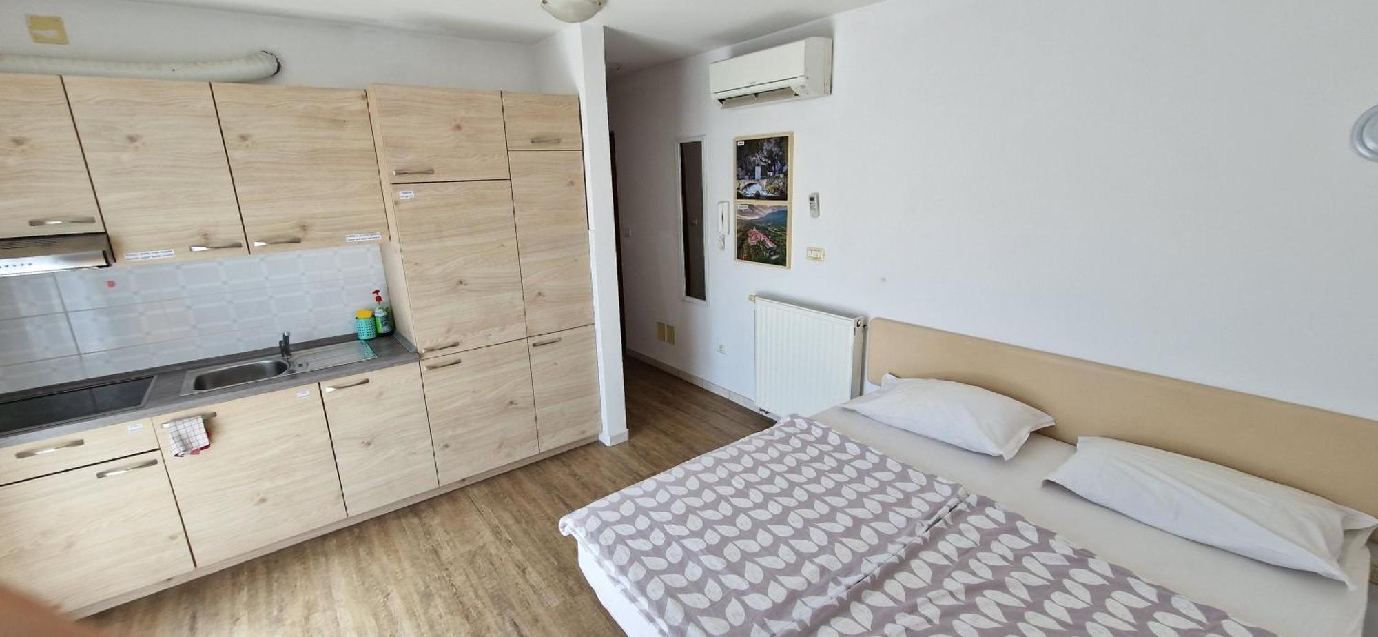 Daisy apartment Ajdovščina Bagian luar foto